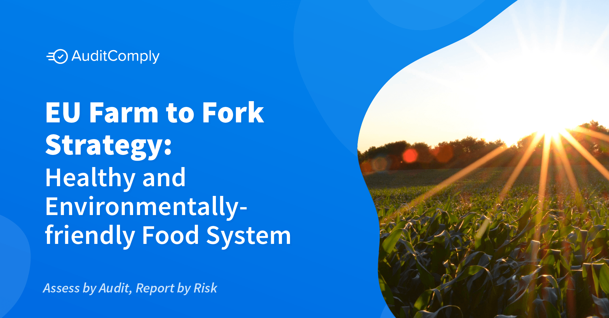 EUs Farm To Fork Strategy Impact On Food Organizations AuditComply