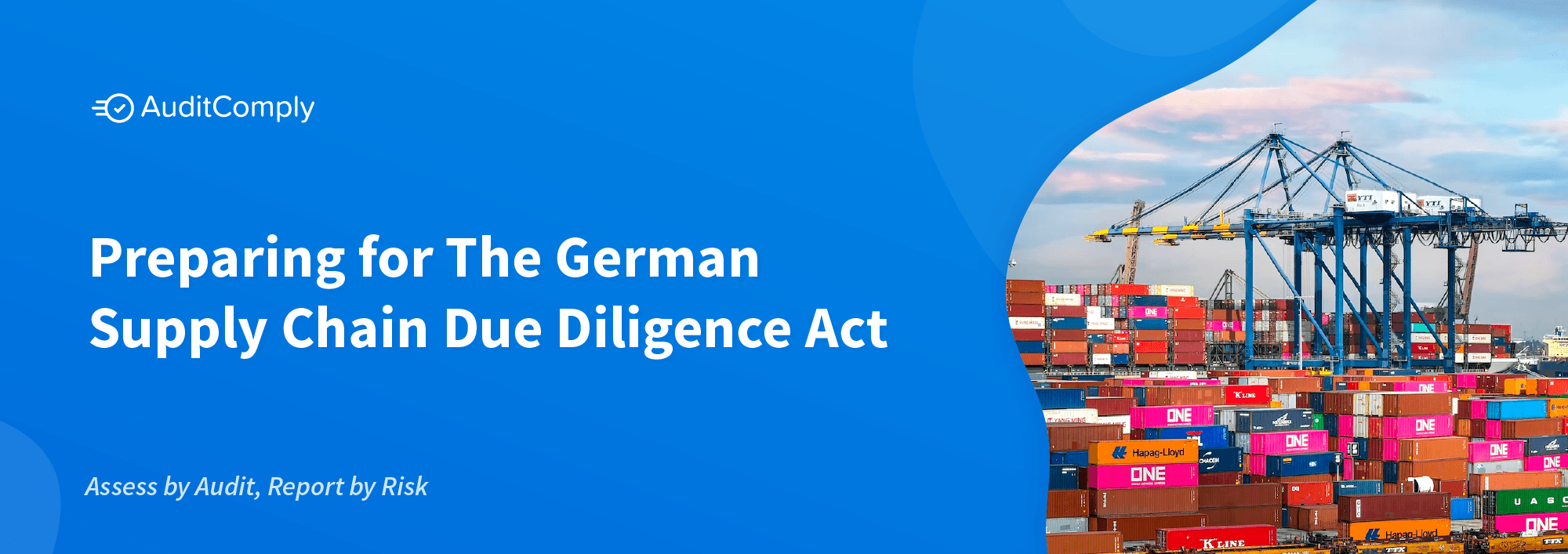 Preparing For The German Supply Chain Due Diligence Act - AuditComply