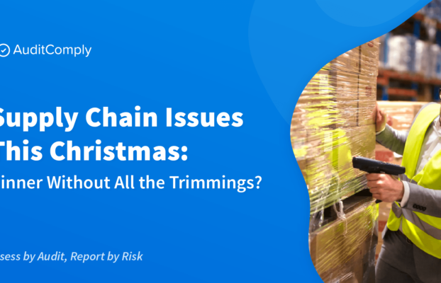 Supply Chain Issues This Christmas: Dinner Without All the Trimmings?