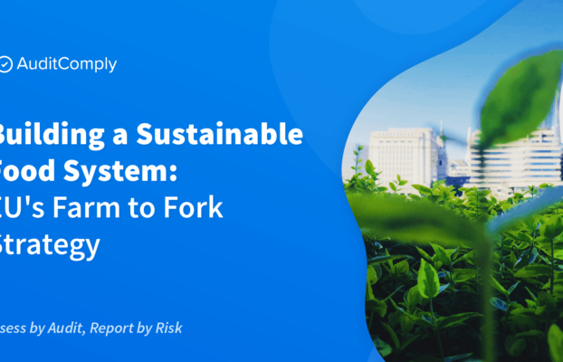 Building a Sustainable Food System: EU’s Farm to Fork Strategy