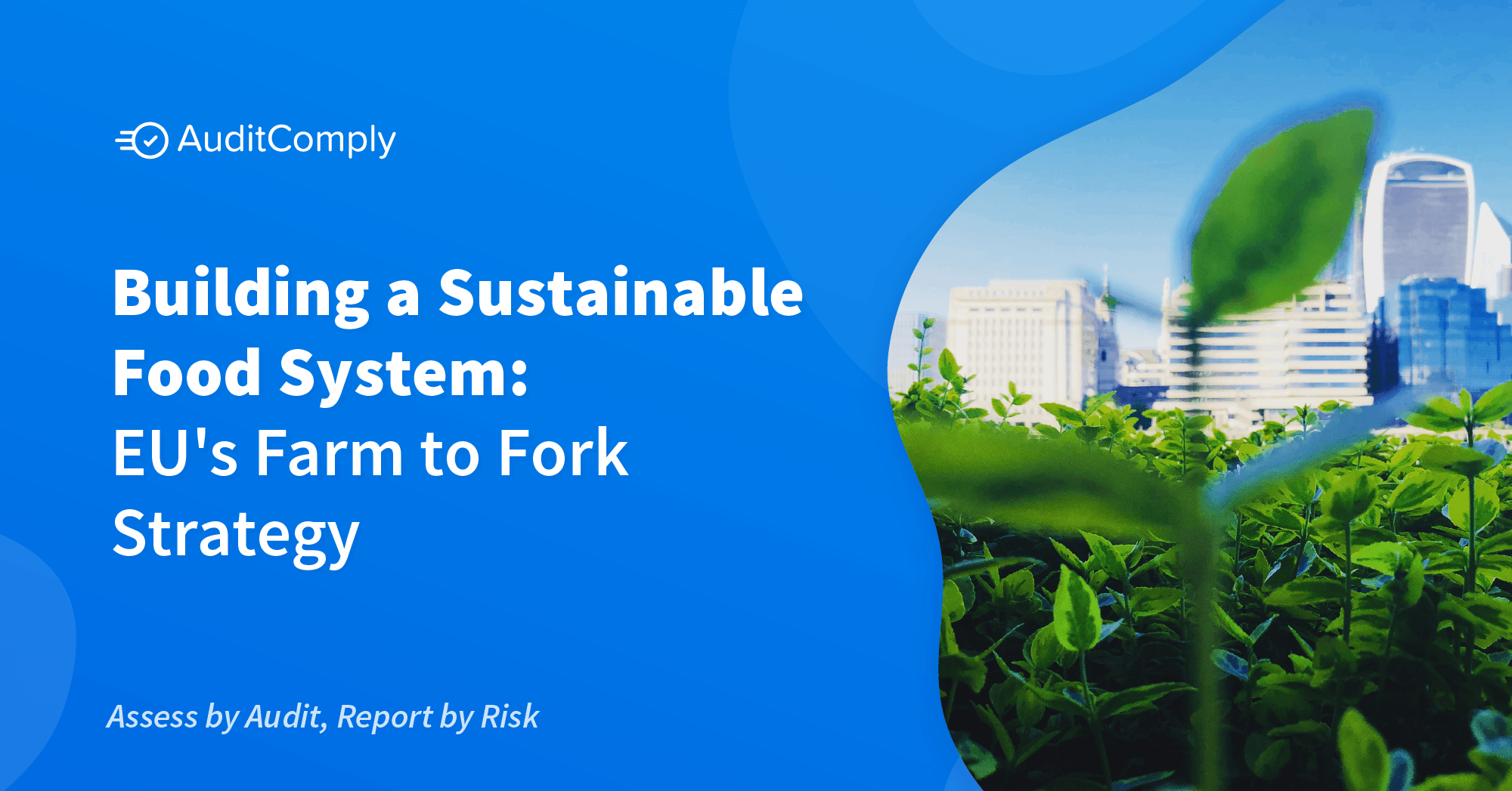 Building a Sustainable Food System: EU’s Farm to Fork Strategy